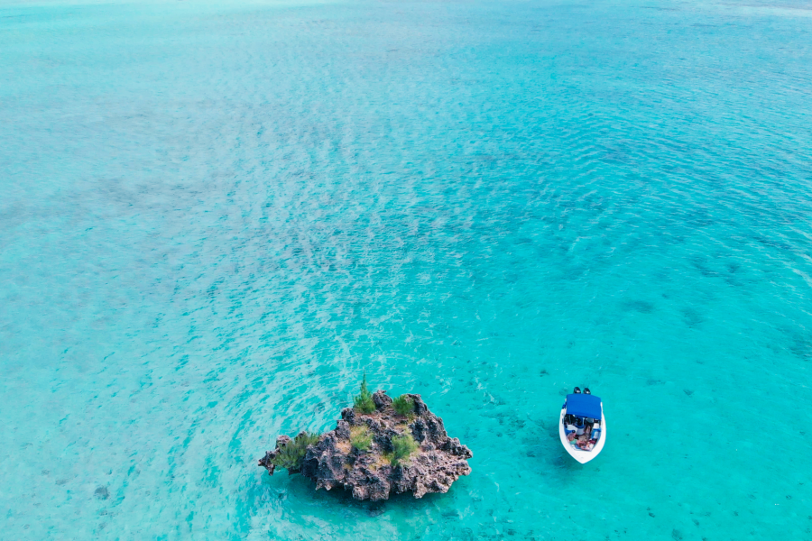 Full Day Dolphin & Benitiers Island trip with BBQ lunch by Speedboat